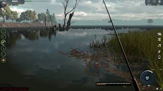 Pro Fishing game beta access  gameplay float flishing netting selling [upl. by Araik]