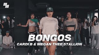 Cardi B amp Megan Thee Stallion  Bongos Dance  Choreography by 가비 GABEE  LJ DANCE STUDIO [upl. by Kred]