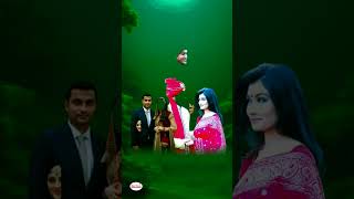 mukh milamili💔tamim Iqbal wife ayeshashakib al hasan wife shishir ahmed তামিম আয়েশা amp সাকিব শিশির [upl. by Engud719]