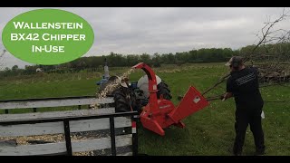 Wallenstein BX42 woodchipper processes tree tops [upl. by Senga]