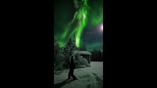 Spectacular Northernlights in Ranua Lapland Finland [upl. by Animor]