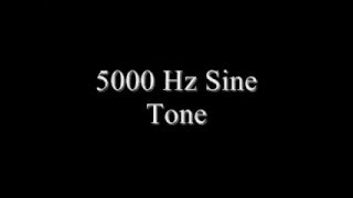 5000 Hz Sine tone  Sound effects [upl. by Auohs355]