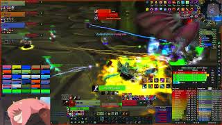 Netherwing WOW TBC  Wasted Potential EU Guild 061324 BM hunter POV [upl. by Vladimar]