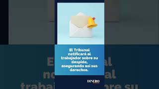 ¿Te pueden despedir sin darte liquidación o finiquito [upl. by Oicneconi]