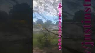 VLINE Rochester to Soutern Cross 051124 victoria shorts shortvideo train travel views [upl. by Plato]