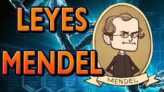 LAS LEYES DE MENDEL [upl. by Diamante]