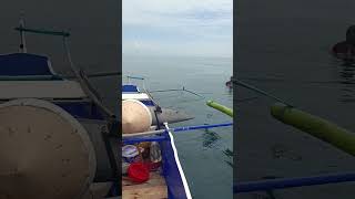 Craziest Fishing EVER Massive Billfish JawDropping Fishing Adventure [upl. by Dierolf479]