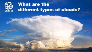 What Are the Different Types of Clouds [upl. by Ahsekam]