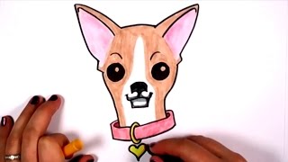 Cute chihuahua dancing Flamenco [upl. by Einnalem]