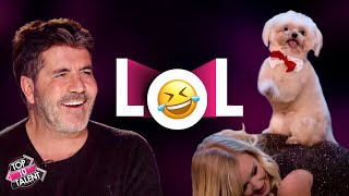 FUNNIEST Animal Auditions That Made Simon Cowell LOL🤣 [upl. by Klecka]