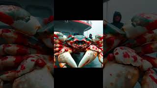 Unseen Crab 🦀 reels sea crab boat [upl. by Hares]