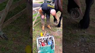 Horse foot pain 😔😭 horse cartoon amazing asmr video shorts ytshorts xogauravcraftwood art [upl. by Corbett]