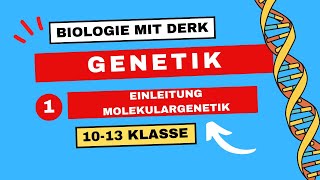 Genetik  1  Einleitung Molekulargenetik Grundbegriffe  10  13 Klasse [upl. by Maidie628]