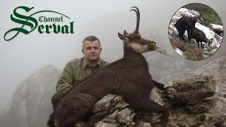 Balkan Chamois Hunting in the Croatian mountains Velebit  Gamsjagd in Kroatien Velebit [upl. by Schlosser700]