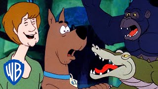 ScoobyDoo Where Are You  Animal Encounters 🐊  10 Minutes of CLASSIC Cartoons  WB Kids [upl. by Yasnyl]