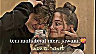 Teri mohabbat meri jawani 💖 slowed reverb lofi mix youtube song mp3 oldisgold [upl. by Kristine120]