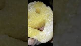 Sudsy Delish Scrubs spongeasmr spongesqueezing scrubdaddy cleantok sinkcleaning sudsysponge [upl. by Kuhlman]