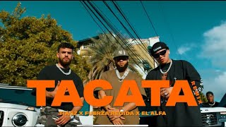 Tiagz X Fuerza Regida X El Alfa  TACATA REMIX Official Video [upl. by Hauser670]