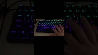 New keyboard asmr [upl. by Adnohr373]