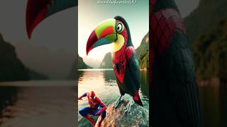 Superheroes as Toucan 🦜 💥 Avengers vs DC  All Marvel Characters avengers shorts marvel dc ai [upl. by Fagan140]