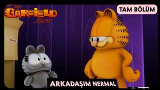 Garfield  3Sezon 47Bölüm  Arkadaşım Nermal  TAM BÖLÜM [upl. by Earaj841]