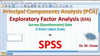 How to do Principal Components Analysis PCA and Exploratory Factor Analysis EFA in SPSS [upl. by Lorilyn]