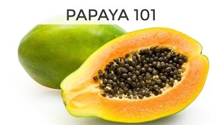 Papaya 101  Everything You Need To Know [upl. by Namlaz863]