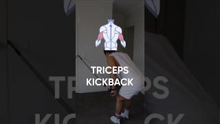 Triceps Kickback Resistance Bands Workout [upl. by Tnairb]