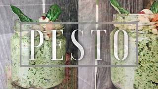 Рецепт соуса ПЕСТО  PESTO  домашний рецепт  Готовим вместе с PrettyCooks [upl. by Assinna]