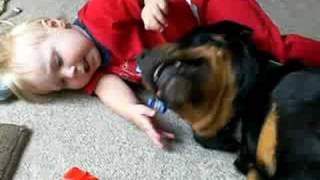 Babys Best Friend his Rottweiler [upl. by Trill]