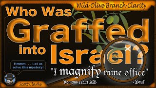 Who Were The Wild Olive Branches Graffed Into Israel [upl. by Engeddi]