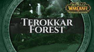 Terokkar Forest  Music amp Ambience  World of Warcraft The Burning Crusade  TBC [upl. by Noval465]