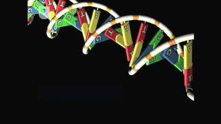 Gene To Protein Overview  DNA RNA and Protein Formation 47 [upl. by Yursa]