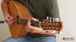 Cittern  10 string mandocello [upl. by Nivert]