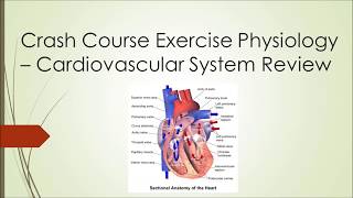 Exercise Physiology Crash Course  Episode 2 Cardiovascular Review [upl. by Acirdna18]