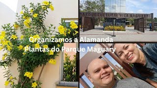 Organizamos a Alamanda e mostrei as plantas do Parque Maguary [upl. by Ylrehc]