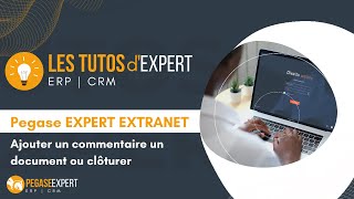 Pegase Expert Extranet  Ajouter un commentaire un document ou clôturer [upl. by Eeslek796]