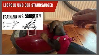 Leopold und der Staubsauger  staubsaugertrainingmitdemhund [upl. by Atnamas]