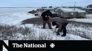 The Arctic community falling into the ocean  Tuktoyaktuk NWT [upl. by Ganley539]