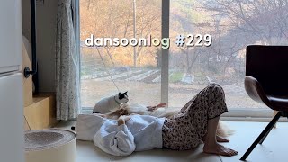 SUB 단순로그229 느슨한 겨울 시골 생활 루틴 vlog [upl. by Occir]