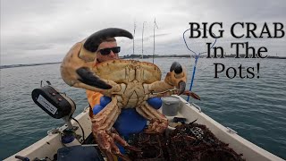 BIG CRAB  Lobsters Brown Crab Spider Crab Conger Eels and Much More  UK Crab Fishing Video [upl. by Asilegna]