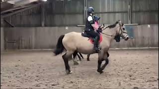 Chiverton RC 251024 AllSteps Formation Riding clinic [upl. by Ailito882]