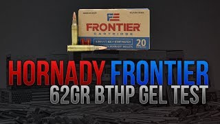 Home Defense 223 On A Budget Hornady Frontier 62gr BTHP Gel Test [upl. by Neelsaj]