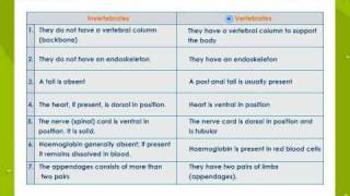 Characteristics of Animal Groups [upl. by Ailehpo312]