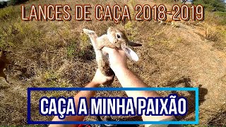 LANCES DE CAÇA 20182019 [upl. by Favin]