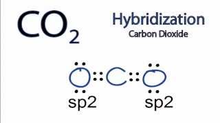 CO2 Hybridization Hybrid Orbitals for CO2 [upl. by Anaerb859]