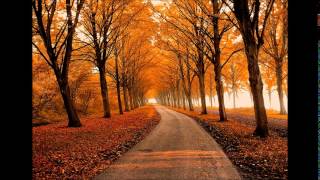 George Winston Autumn  Full Album [upl. by Aneeles174]