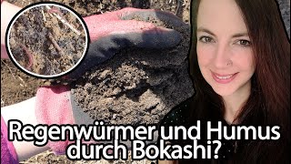 So verändert Bokashi deinen Sand Boden  gartenchaos gemüsegarten  garten bokashi [upl. by Conlan]