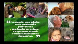 PROYECTO CULTURA SOLIDARIA CP2 UGC [upl. by Nybbor]