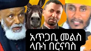 🔴አቡነ በርናባስ የአህያ እና የአይጥ ስጋ ብሉ አሉ ምነካቸው።🔴አባ ገብረ ኪዳን እና መምህር ዘበነ ምላሽ ሰጡ። [upl. by Adele185]